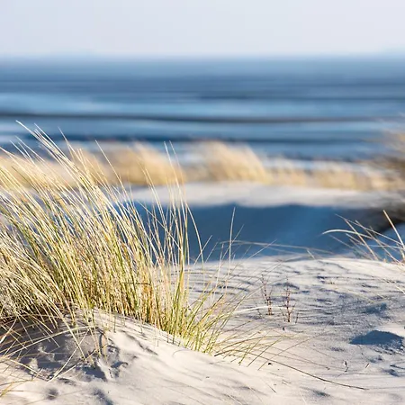 Ankerplatz Mit Kamin Direkt Am Apartament *