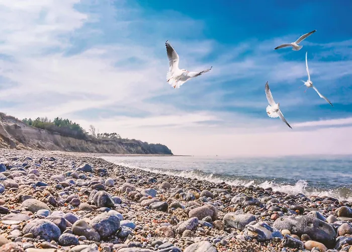 Ankerplatz Mit Kamin Direkt Am * Altenkirchen (Mecklenburg-Vorpommern)